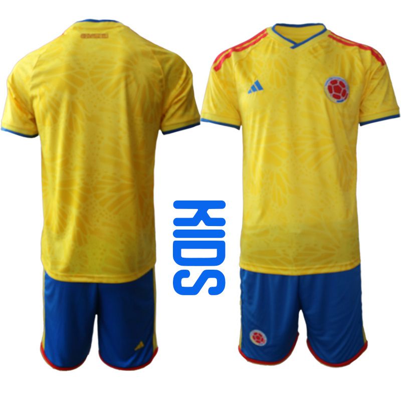 Youth 2026 World Cup National Team Colombia home yellow blank Soccer Jersey->youth mlb jersey->Youth Jersey